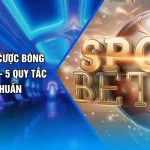 Cẩm Nang Cá Cược Bóng Đá Trực Tuyến - 5 Quy Tắc Soi Kèo Chuẩn